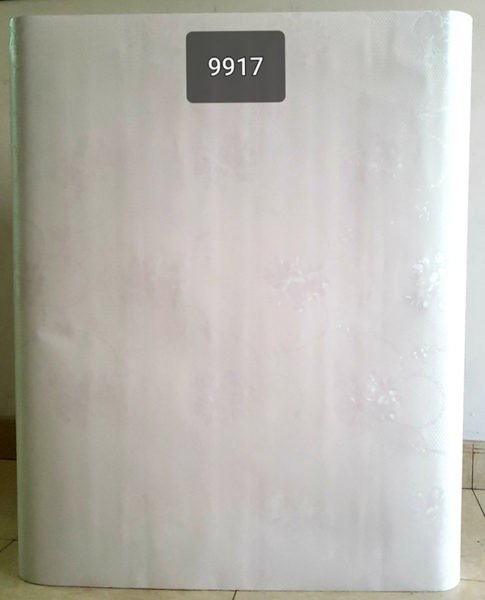 Decal dán tường 9917