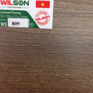 Sàn gỗ Willson 12mm bản nhỏ WS 809