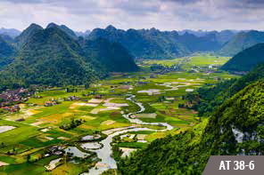 Màn cuốn tranh ANNA AT 38-6