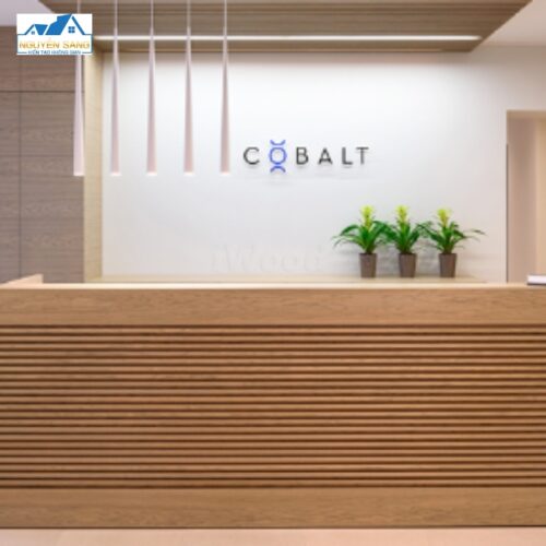 Quay-bar-lam-song-NS004